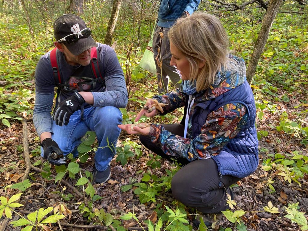 Events Chick Of The Woods Foraging