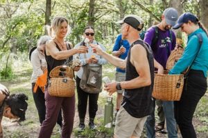 Foraging in Minnesota